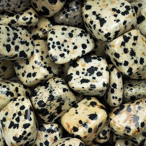 Dalmatian jasper tumbled