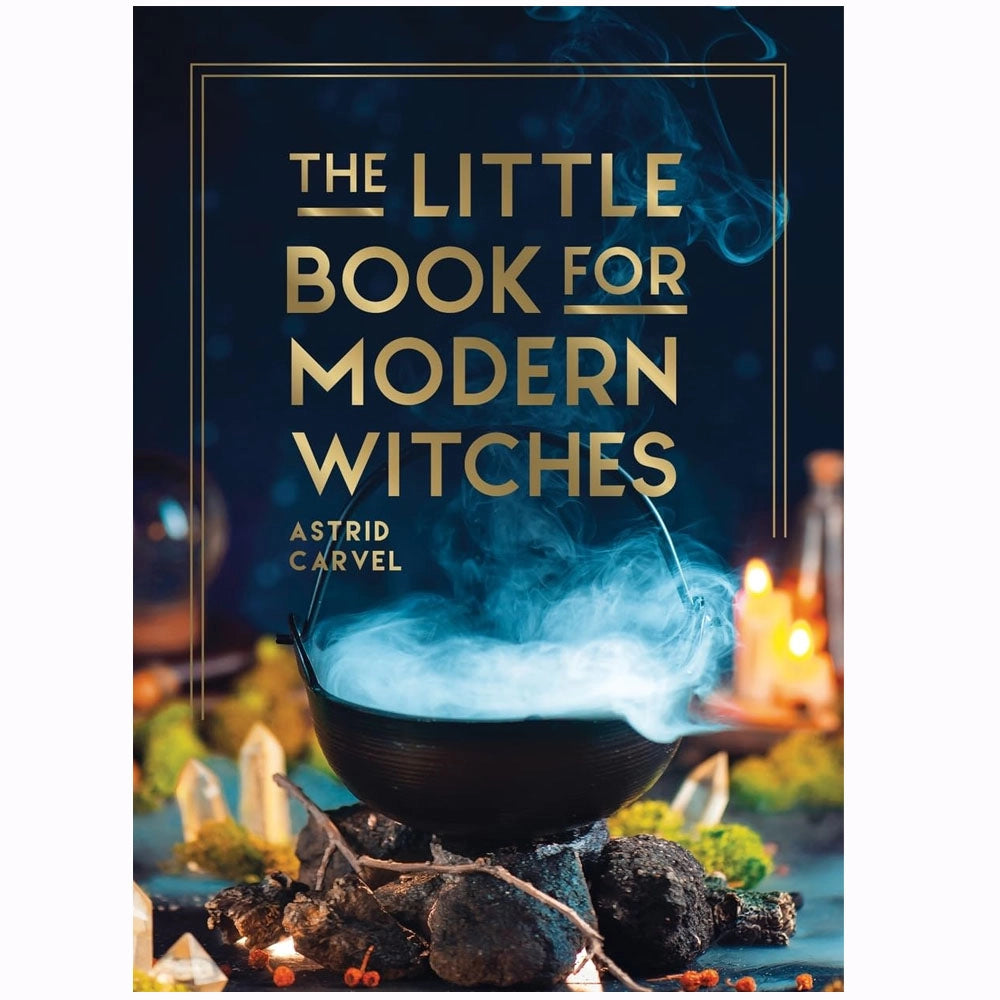 BOOK - Little Bit of Modern Witches