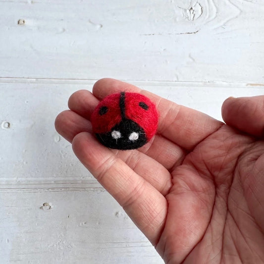 Felt pocket hug lady bug