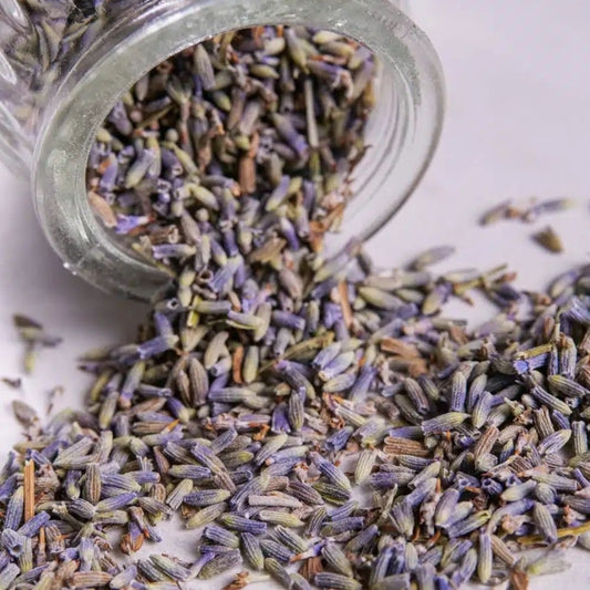 Dried organic lavender (15g)