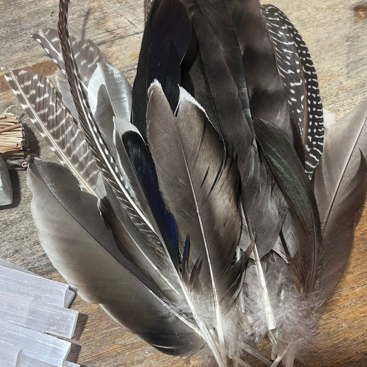 Feathers