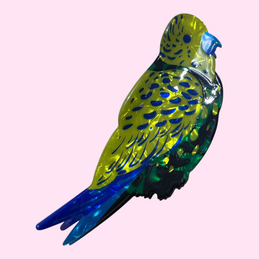 Budgie hair clip