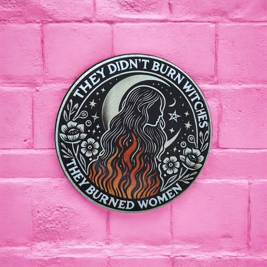 They didn't burn witches enamel pin