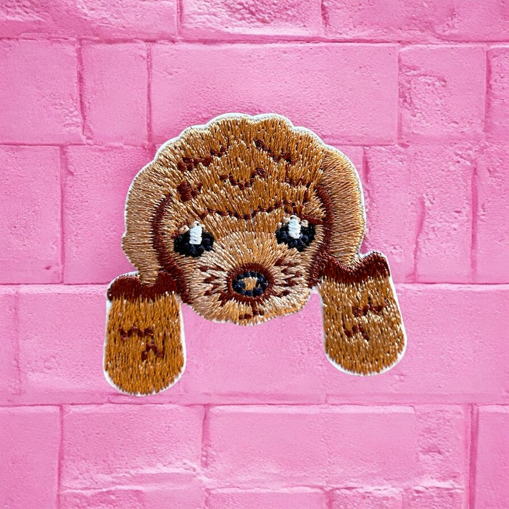 Cavoodle embroidery patch
